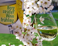 Weinfrhling Wei Blten Logo L_k